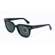 Ray Ban METEOR B&L details