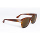 Persol RATTI PP502 col. 96 details