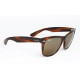 Ray Ban WAYFARER II T.G.M. B&L details