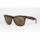 Ray Ban WAYFARER II T.G.M. B&L original vintage sunglasses
